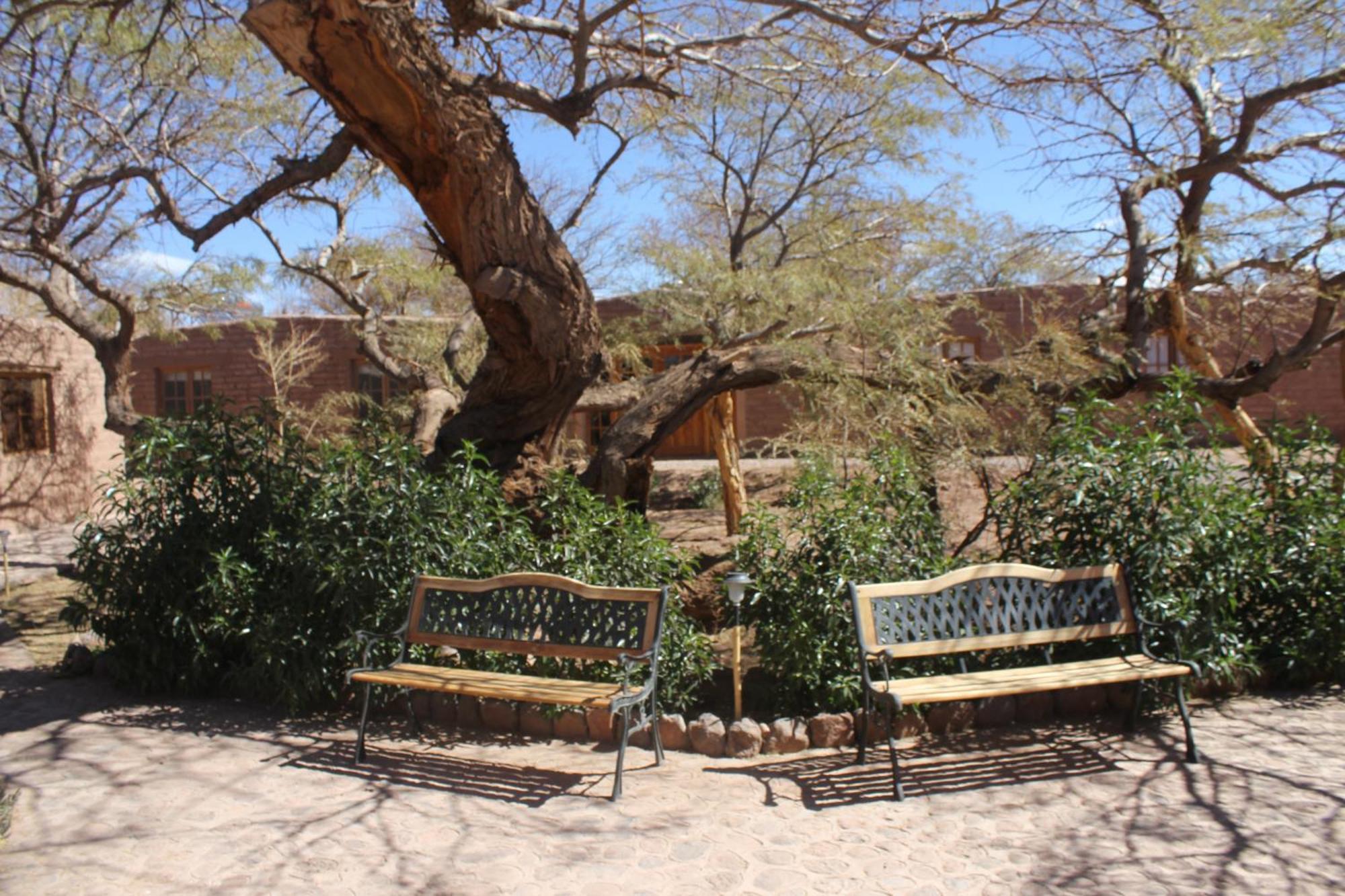 Hotel Casa Don Esteban San Pedro de Atacama Bagian luar foto