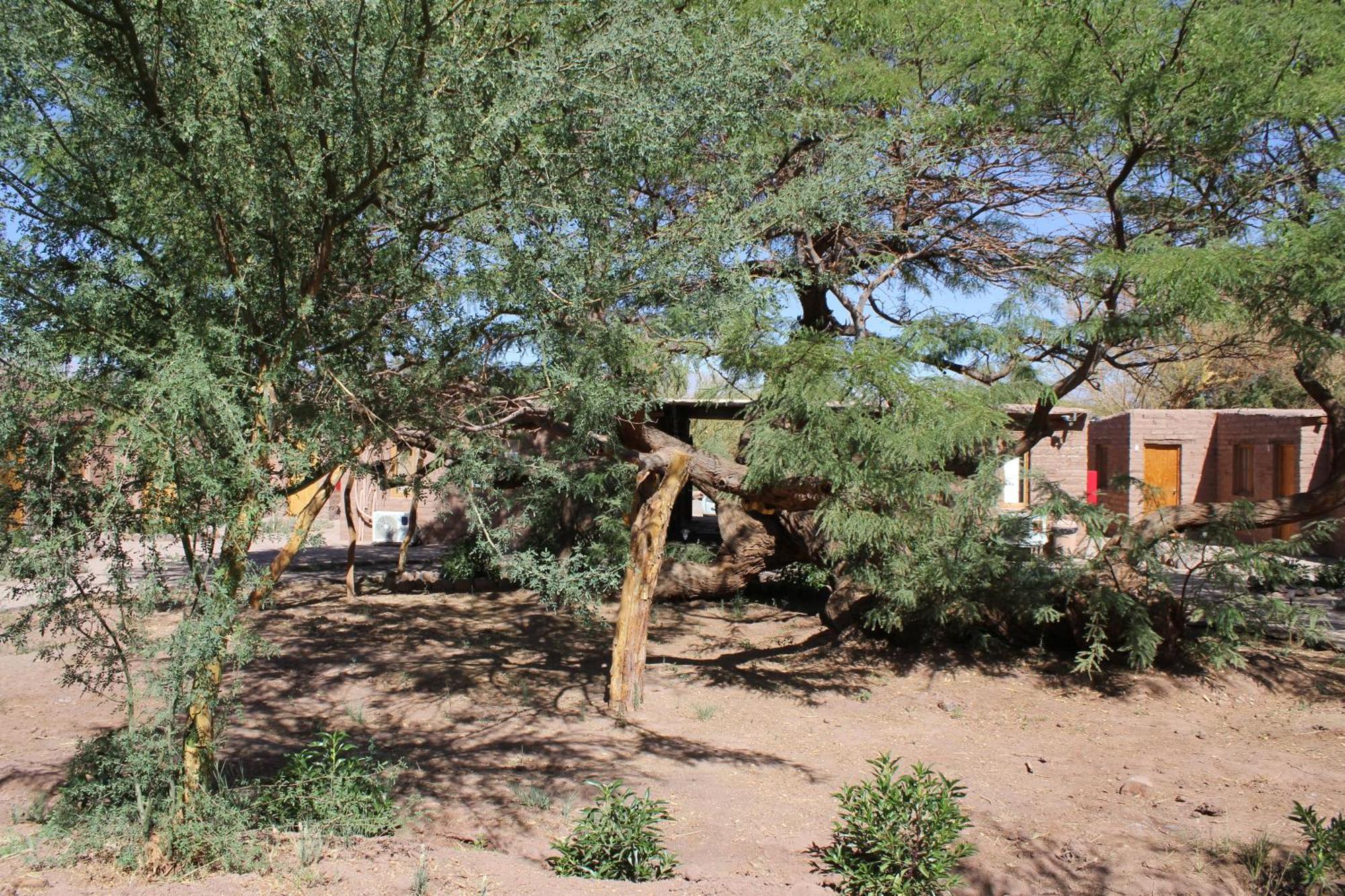 Hotel Casa Don Esteban San Pedro de Atacama Bagian luar foto