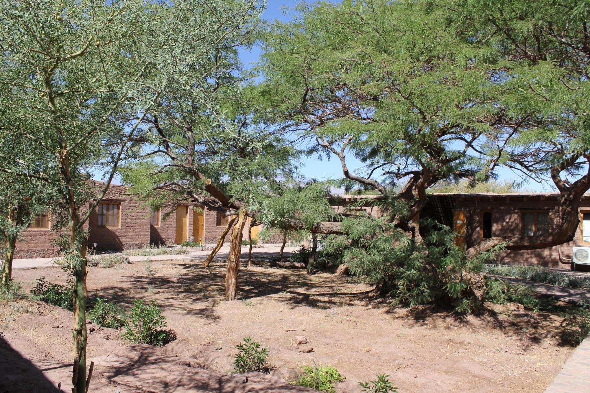 Hotel Casa Don Esteban San Pedro de Atacama Bagian luar foto