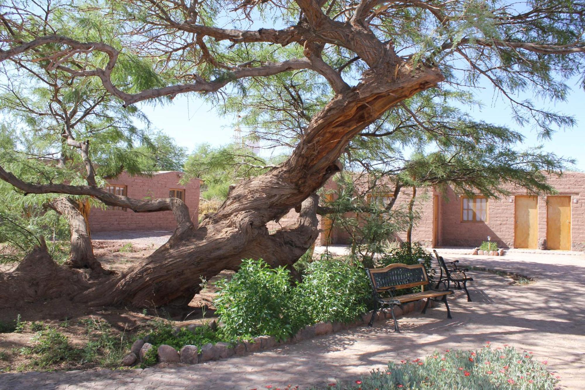 Hotel Casa Don Esteban San Pedro de Atacama Bagian luar foto