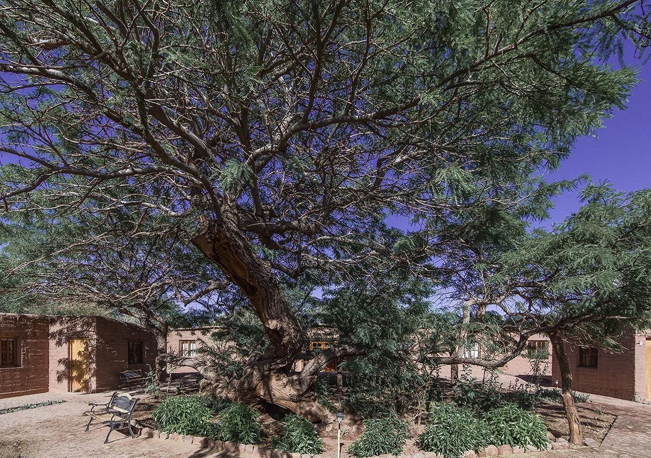 Hotel Casa Don Esteban San Pedro de Atacama Bagian luar foto